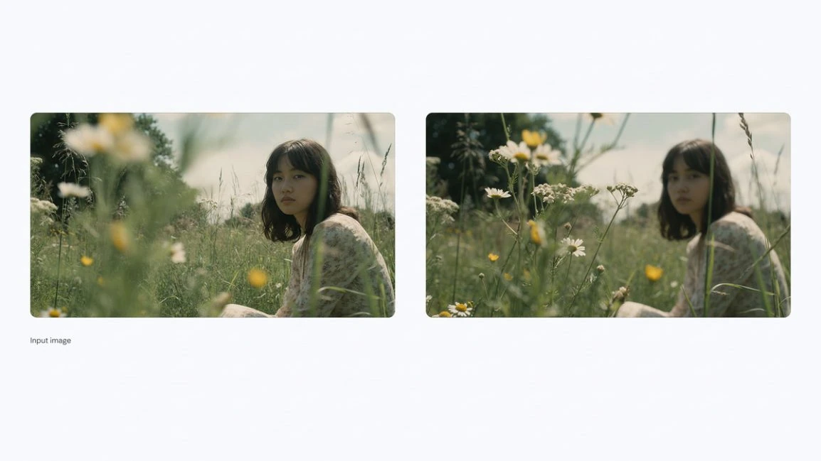 Nano Banana Pro Gemini Femme dans un champ